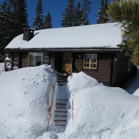 Chalet Korpstigen Aelgen - Dan075 By Interhome Селен Екстер'єр фото